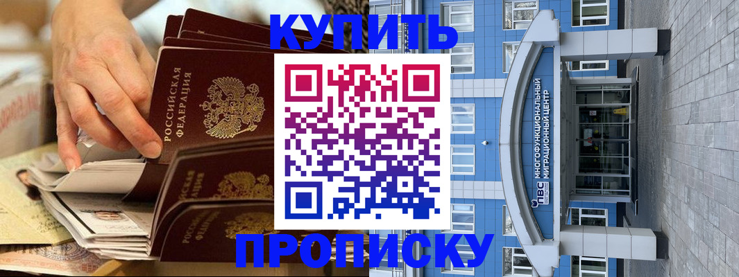 прописка гарантия в Пионерском